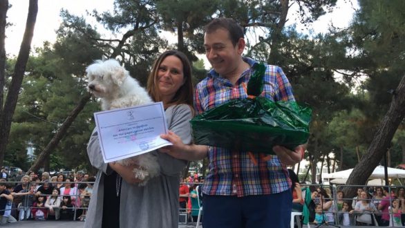 Φωτορεπορτάζ από τα καλλιστεία σκύλων