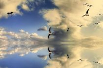 Το τραγούδι της εβδομάδας