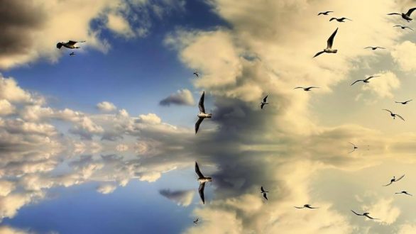 Το τραγούδι της εβδομάδας