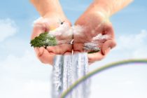 Παγκόσμια Ημέρα Περιβάλλοντος