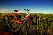 Το τραγούδι της εβδομάδας