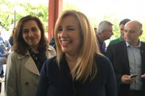 Φ.Γεννηματά:”Η κυβέρνηση ΣΥΡΙΖΑ-ΑΝΕΛ γκρεμίζει ό,τι έχει μείνει όρθιο στο ΕΣΥ”