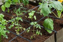 Υποβολή αιτήσεων για το πρόγραμμα του βιοαγρού του Δήμου Αλεξανδρούπολης