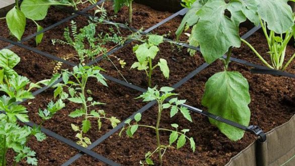 Υποβολή αιτήσεων για το πρόγραμμα του βιοαγρού του Δήμου Αλεξανδρούπολης