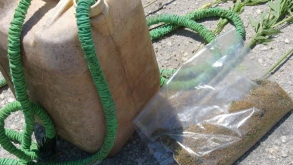 Με τη βοήθεια σκύλου συνελήφθη 50χρονος σε χωριό του Έβρου για καλλιέργεια δενδρυλλίων κάνναβης