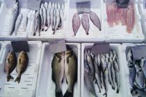 Ιχθυοπώλης συνελήφθη για παράνομη μεταφορά – διάθεση αλιευμάτων