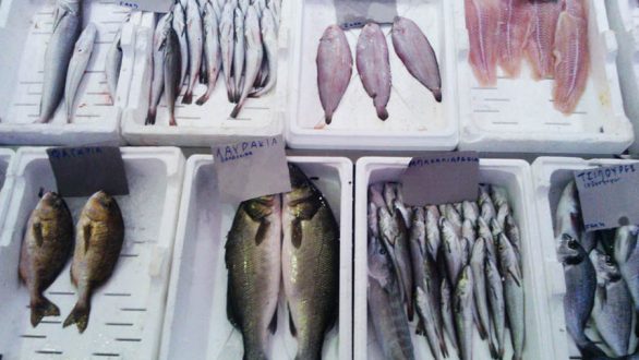 Ιχθυοπώλης συνελήφθη για παράνομη μεταφορά – διάθεση αλιευμάτων