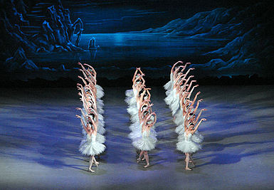 385px-Swanlake015 (1)