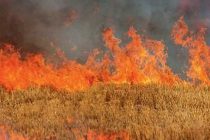 Οδηγίες του Δήμου Αλεξανδρούπολης λόγω πολύ υψηλού κινδύνου πυρκαγιάς στην περιοχή