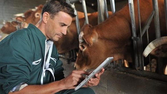 Προσλήψεις 6 κτηνιάτρων στην Περιφέρεια Ανατολικής Μακεδονίας και Θράκης