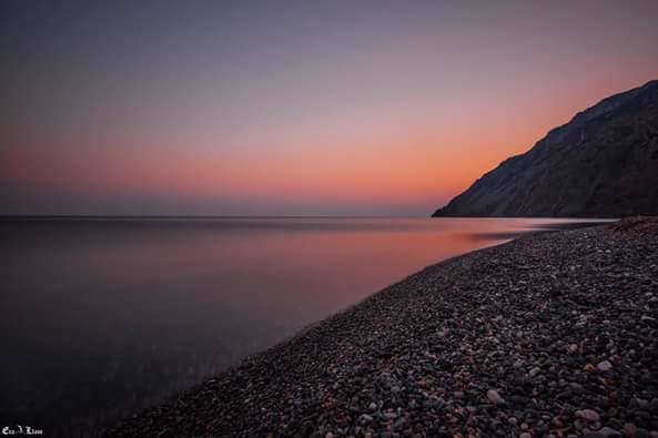 13501768_1012645268849879_4258483748843559838_n