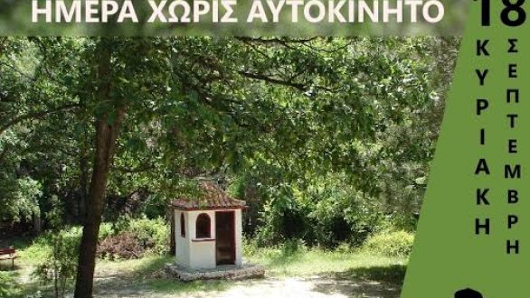 Πεζοπορία στο Δάσος Δαδιάς