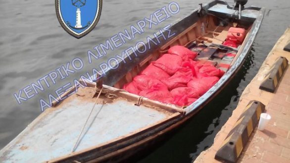 Εντοπίστηκαν και κατασχέθηκαν 864 κιλά οστράκων στο Δέλτα του ‘Εβρου