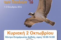 Ευρωπαική Γιορτή Πουλιών στην Δαδιά