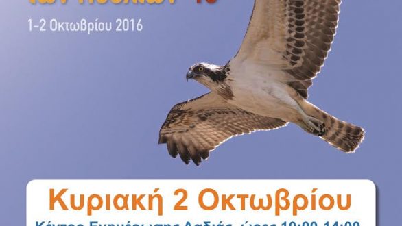 Ευρωπαική Γιορτή Πουλιών στην Δαδιά