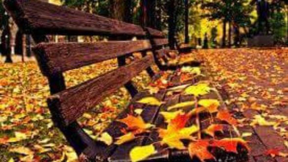 Το τραγούδι της εβδομάδας