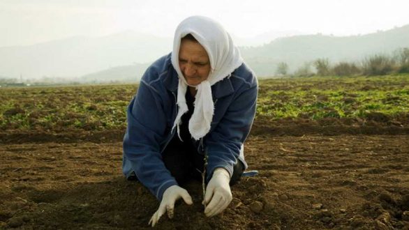 Τιμά την ημέρα της αγρότισσας η “ΕΝΟΤΗΤΑ”