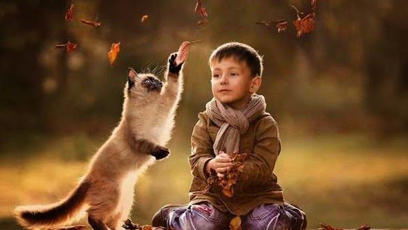 Το τραγούδι της εβδομάδας