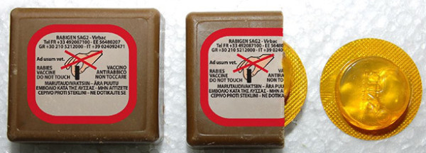 Εμβολιασμός κατά της λύσσας