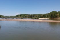 Το τραγούδι της εβδομάδας