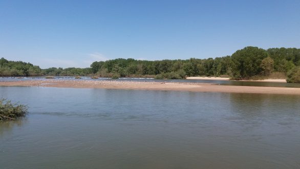 Το τραγούδι της εβδομάδας