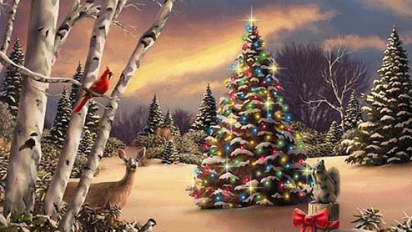 Φωταγώγηση Χριστουγεννιάτικου Δέντρου στους Ασβεστάδες