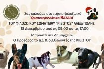 Χριστουγεννιάτικο Bazaar Φιλοζωικού Σωματείου “Κιβωτός”