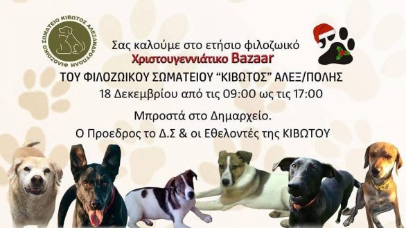 Χριστουγεννιάτικο Bazaar Φιλοζωικού Σωματείου “Κιβωτός”