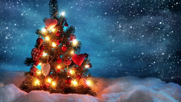 «Χριστουγεννιάτικη Γειτονιά» και Φωταγώγηση Χριστουγεννιάτικου Δέντρου στις Φέρες