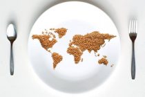 “Ο κόσμος όλος σε ένα πιάτο”: κοινή δράση από το Εθνολογικό Μουσείο και την Άρσις