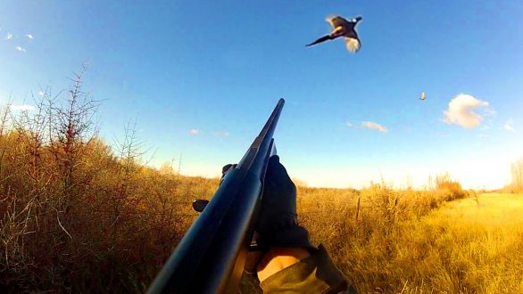 Έναν μήνα νωρίτερα ξεκινάει η έκδοση αδειών θήρας