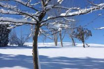 Κλειστά τα σχολεία της Ορεστιάδας την Παρασκευή