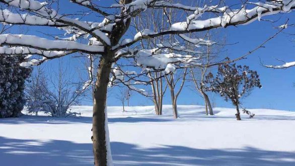 Κλειστά τα σχολεία της Ορεστιάδας την Παρασκευή