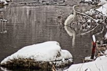 Το τραγούδι της εβδομάδας