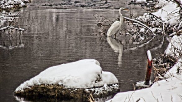 Το τραγούδι της εβδομάδας