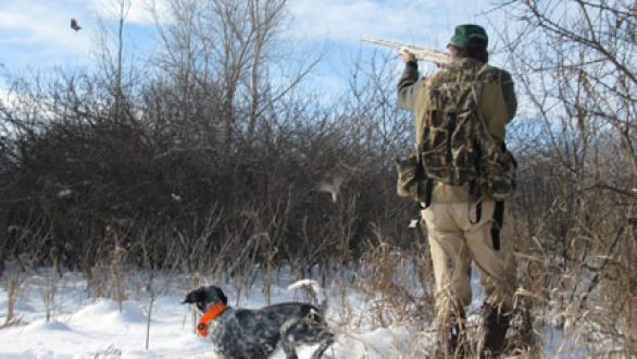 Απαγόρευση του κυνηγιού σε όλη την Έλλαδα