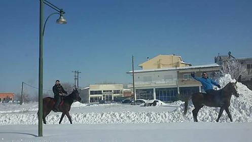 φωτογραφία Ορέστης