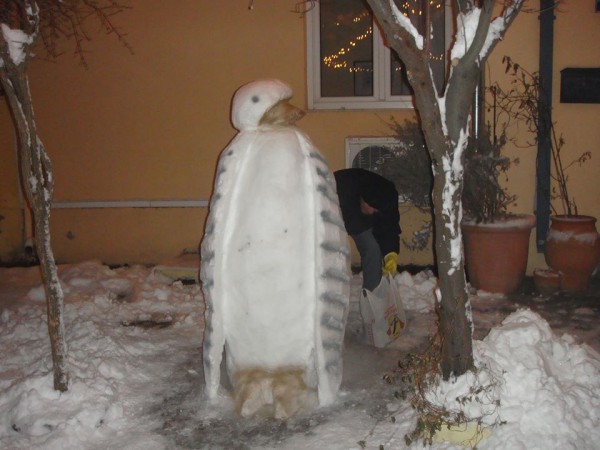 15878847_1774779102788841_1224007822_n