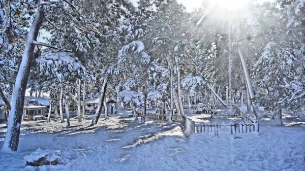 φωτογραφία Δημήτρης Τριανταφυλλίδης