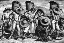 Γιορτάζει τον Τρύφωνα ο Αμπελουργικός Συνεταιρισμός Σουφλίου.