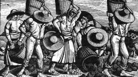 Γιορτάζει τον Τρύφωνα ο Αμπελουργικός Συνεταιρισμός Σουφλίου.