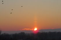 Το τραγούδι της εβδομάδας