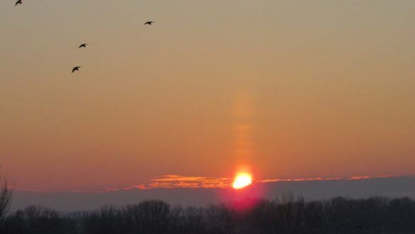 Το τραγούδι της εβδομάδας