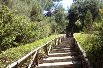 Το τραγούδι της εβδομάδας