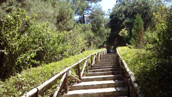 Το τραγούδι της εβδομάδας