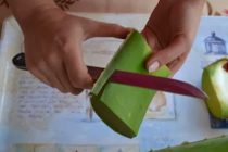 Τέσσερις χρήσεις της αλόης