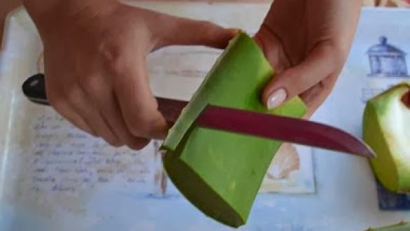 Τέσσερις χρήσεις της αλόης