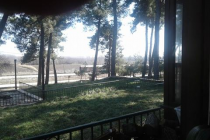 Το τραγούδι της εβδομάδας