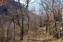 Δημιουργία δικτύου διαδρομών πεζοπορικού τουρισμού στο Δήμο Αλεξανδρούπολης