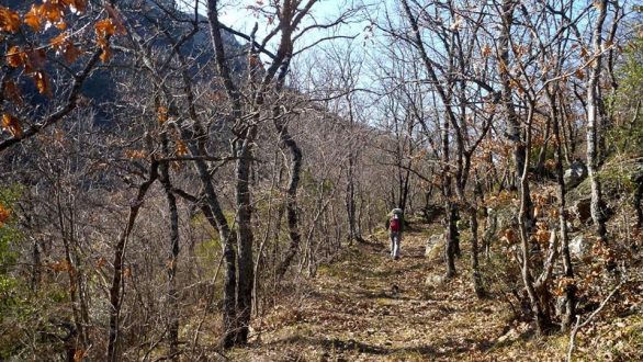 Δημιουργία δικτύου διαδρομών πεζοπορικού τουρισμού στο Δήμο Αλεξανδρούπολης